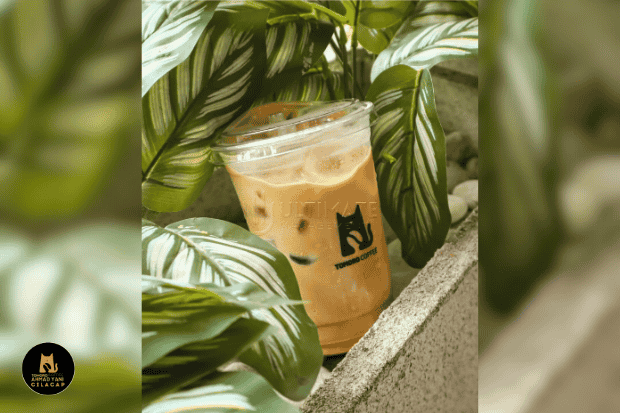 Cup Cap Kucing: Kenikmatan Kopi yang Menghampiri Jiwa di Jantung Cilacap